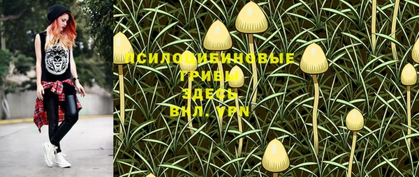 винт Верхний Тагил